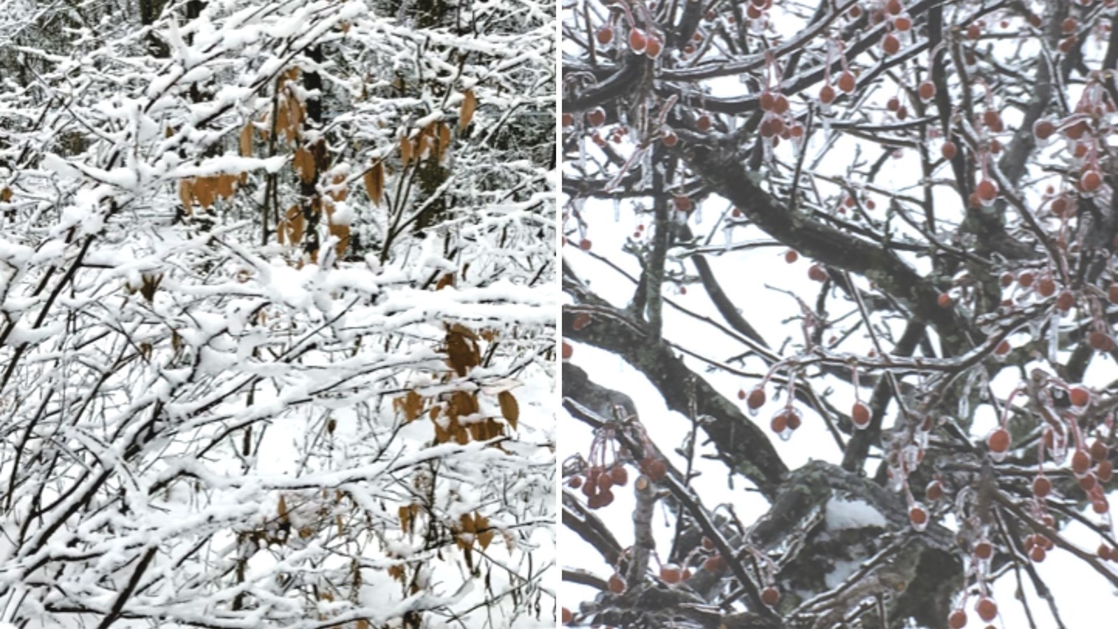 Galerie 2 : l'hiver beauceron