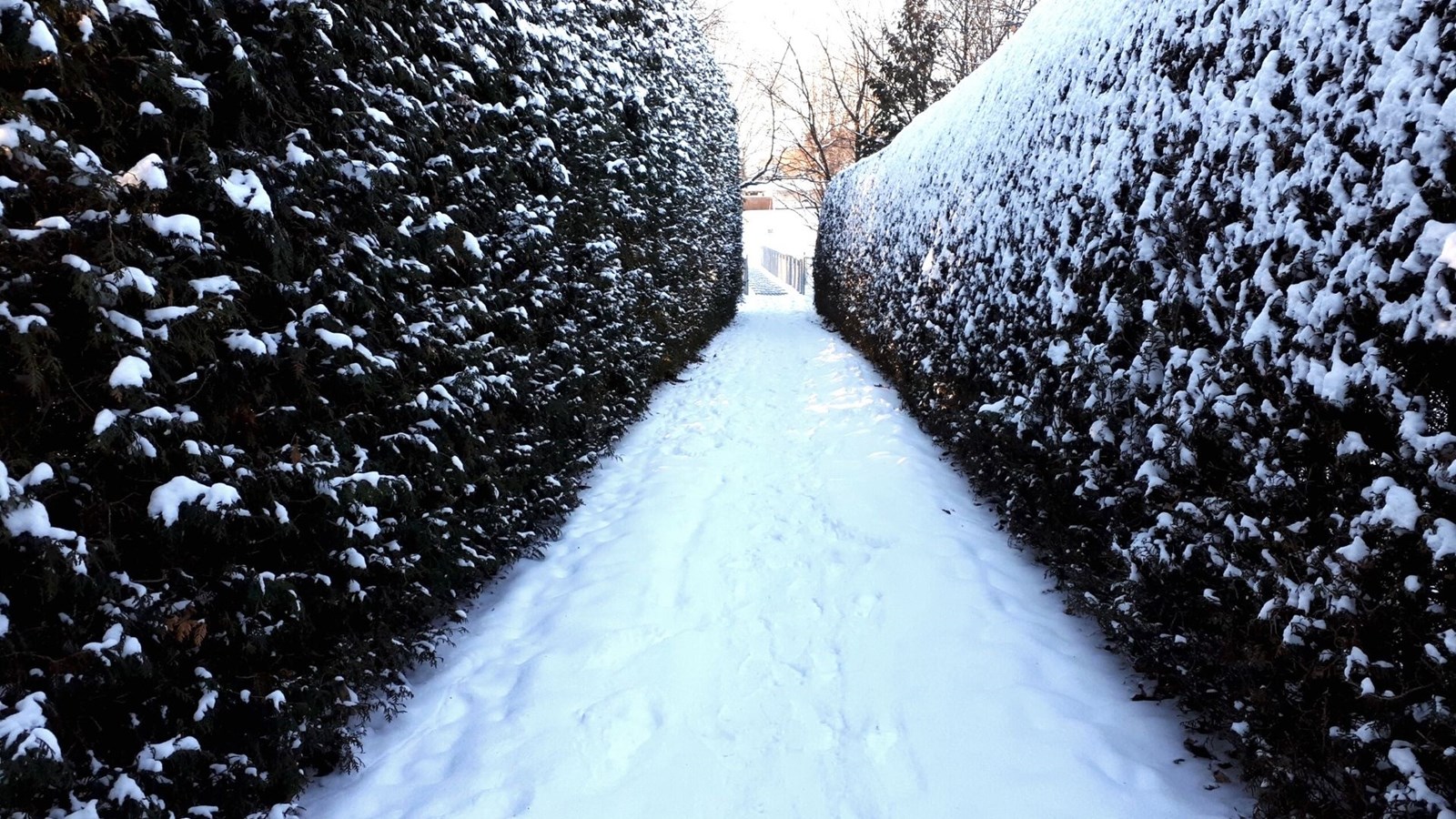 Galerie 2 : l'hiver beauceron