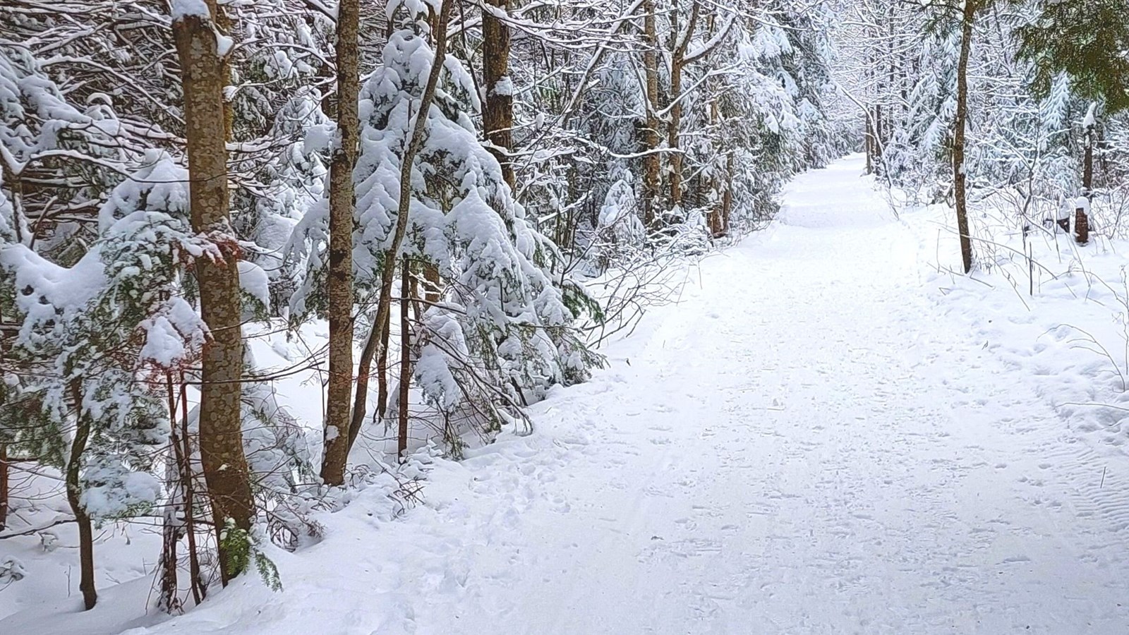 Galerie 2 : l'hiver beauceron