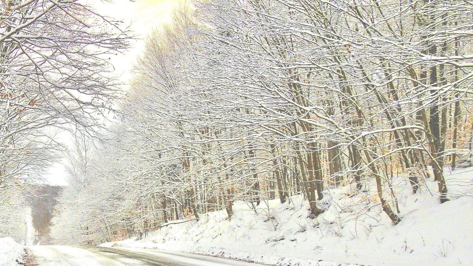 Galerie 2 : l'hiver beauceron