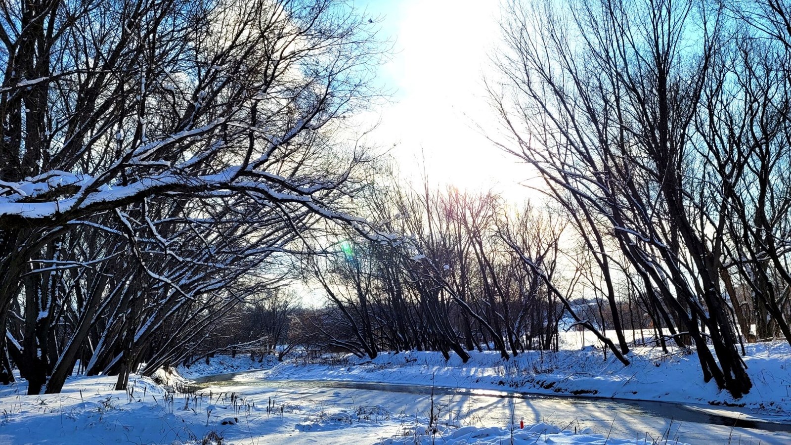 Galerie 3 : l'hiver beauceron