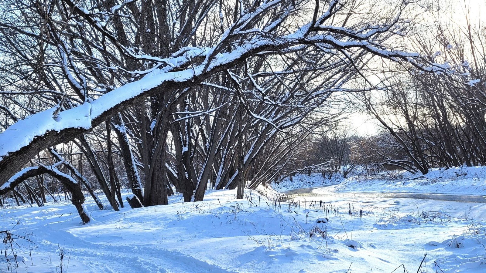 Galerie 3 : l'hiver beauceron