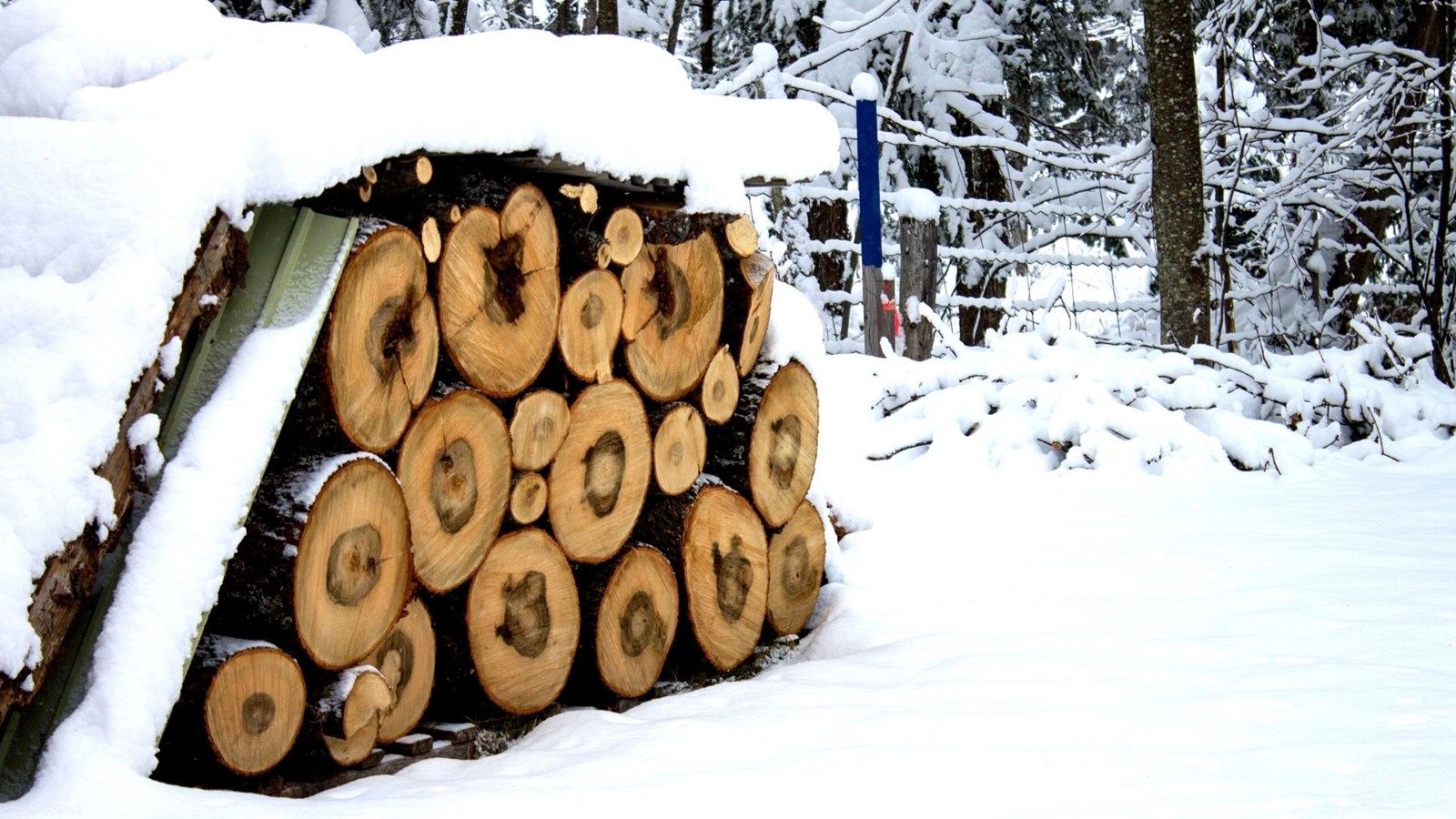 Galerie 3 : l'hiver beauceron