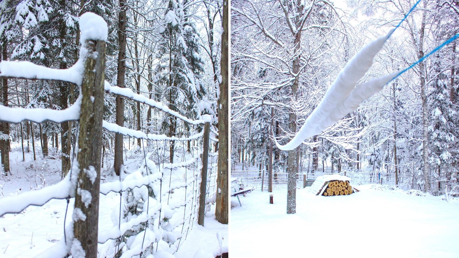 Galerie 3 : l'hiver beauceron