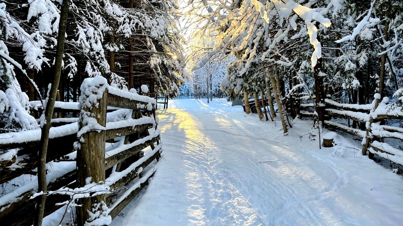 Galerie 4 : l'hiver beauceron