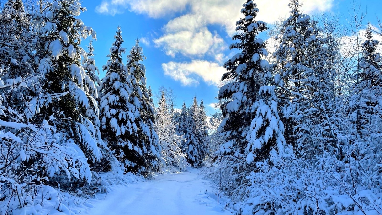 Galerie 4 : l'hiver beauceron