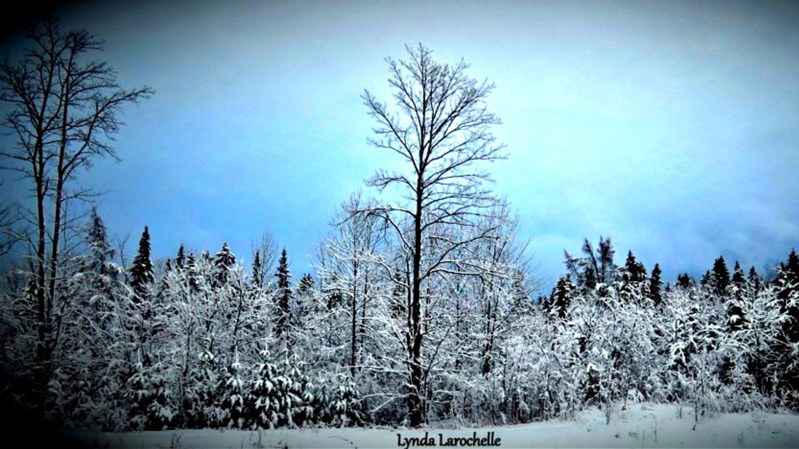 Galerie 4 : l'hiver beauceron