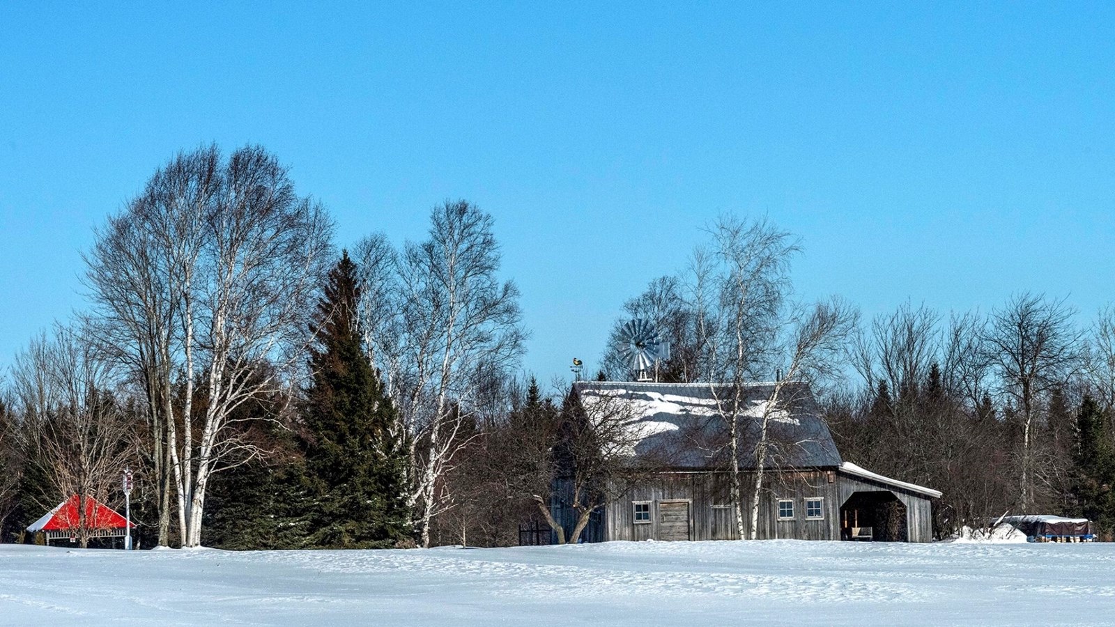 Galerie 4 : l'hiver beauceron