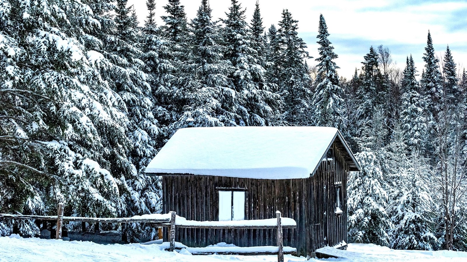 Galerie 4 : l'hiver beauceron