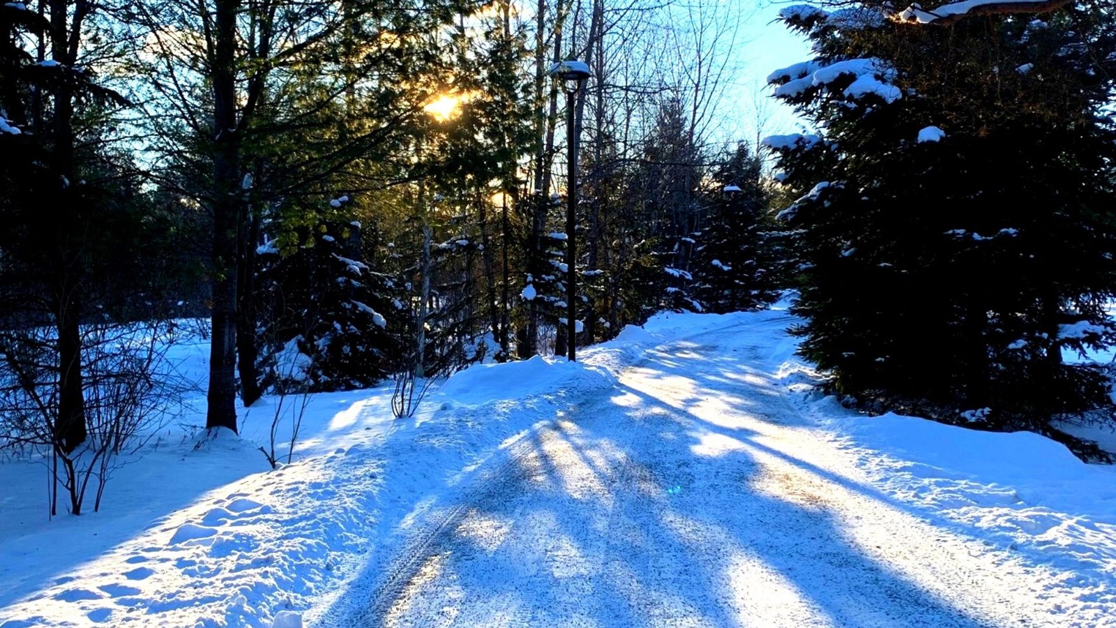 Galerie 4 : l'hiver beauceron