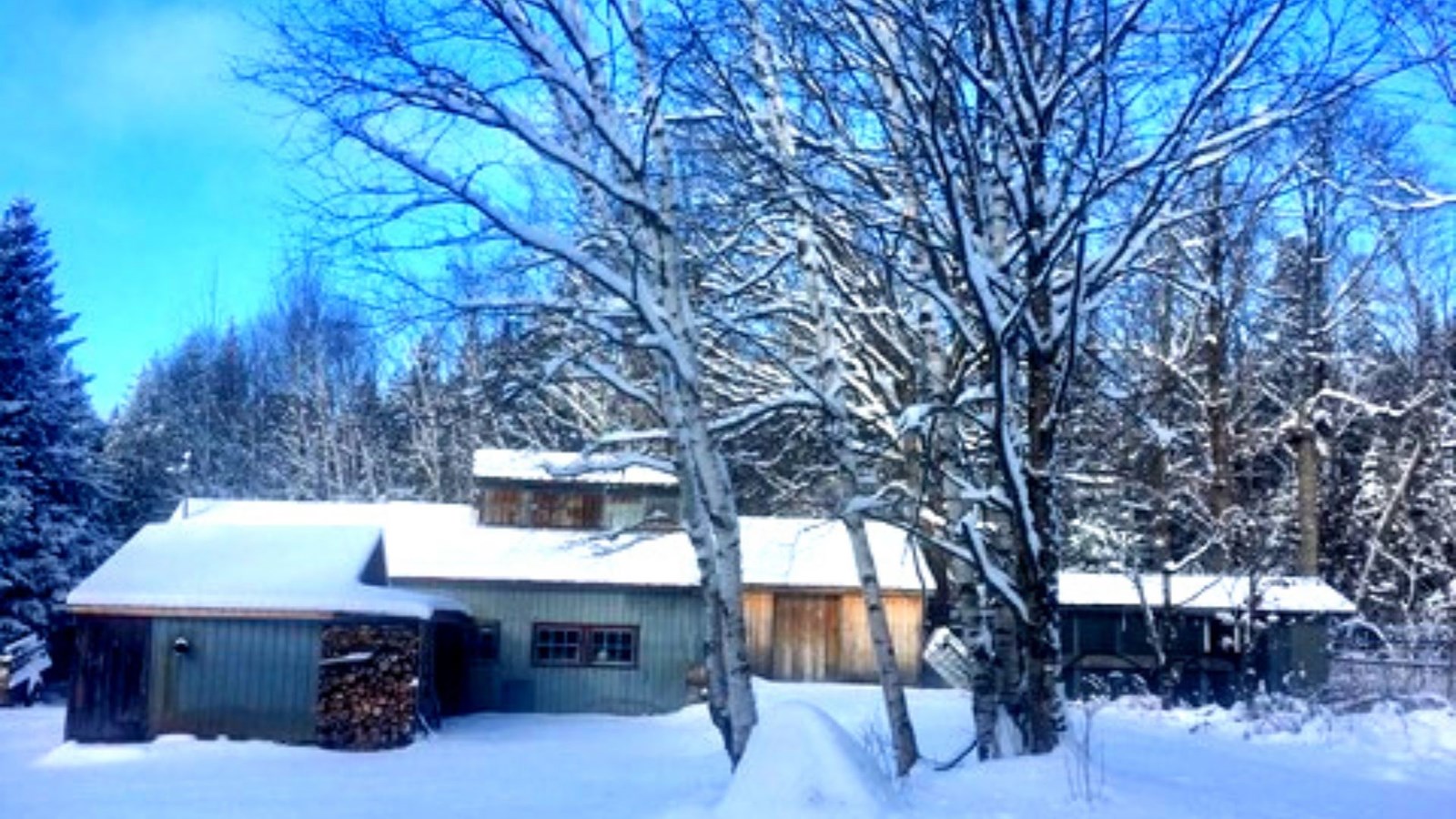Galerie 4 : l'hiver beauceron