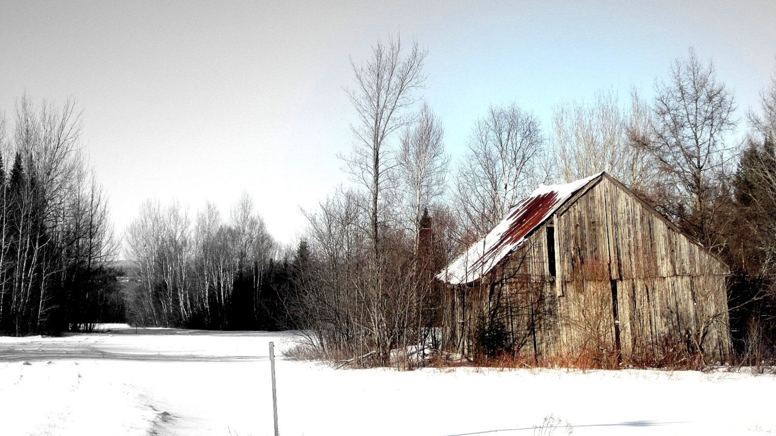 Galerie 4 : l'hiver beauceron