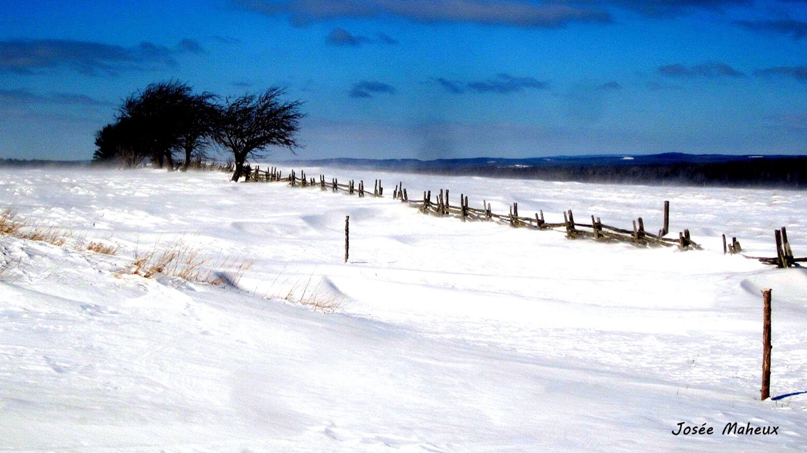 Galerie 4 : l'hiver beauceron