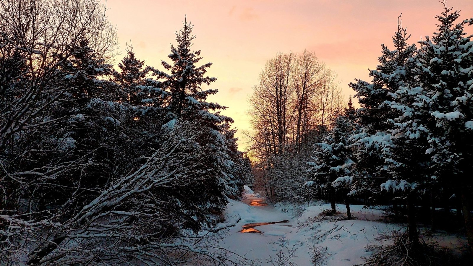 Galerie 5 : l'hiver beauceron