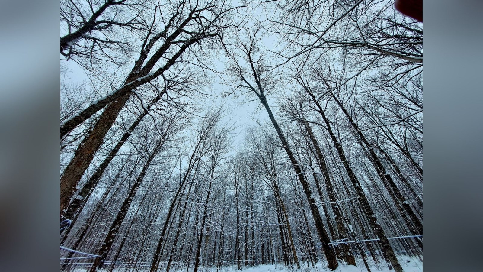 Galerie 5 : l'hiver beauceron
