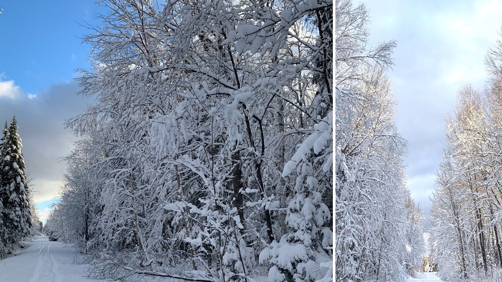 Galerie 5 : l'hiver beauceron