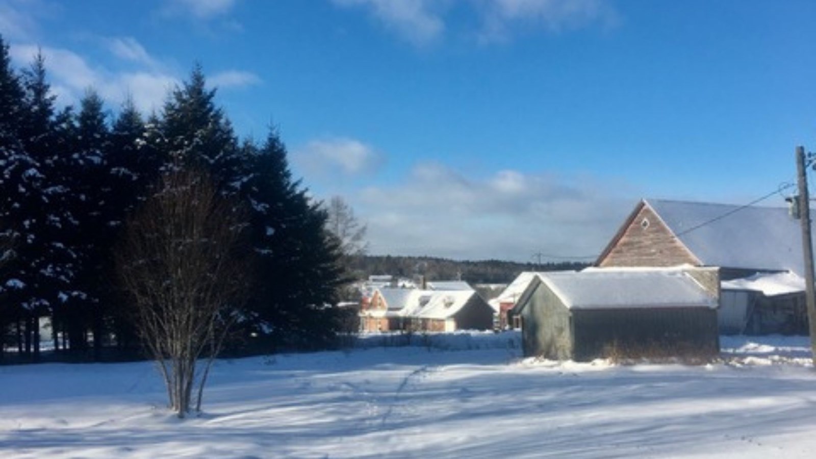 Galerie 5 : l'hiver beauceron