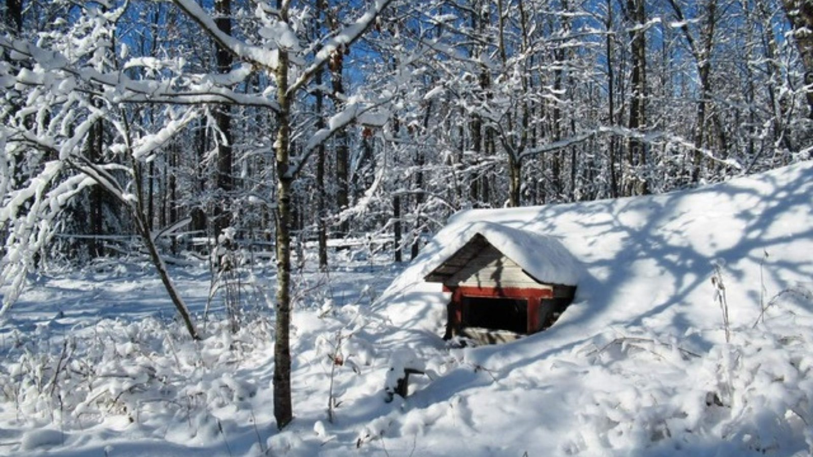 Galerie 5 : l'hiver beauceron