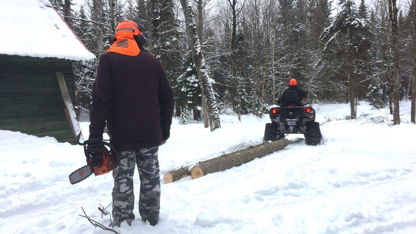 Galerie 6 : l'hiver beauceron