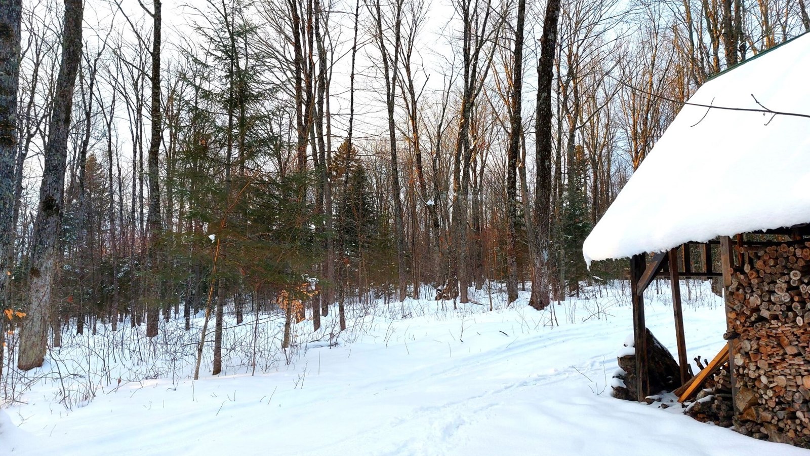 Galerie 7 : l'hiver beauceron