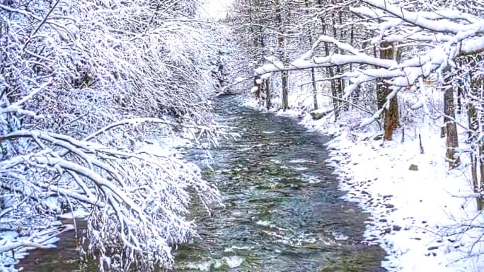 Galerie 7 : l'hiver beauceron
