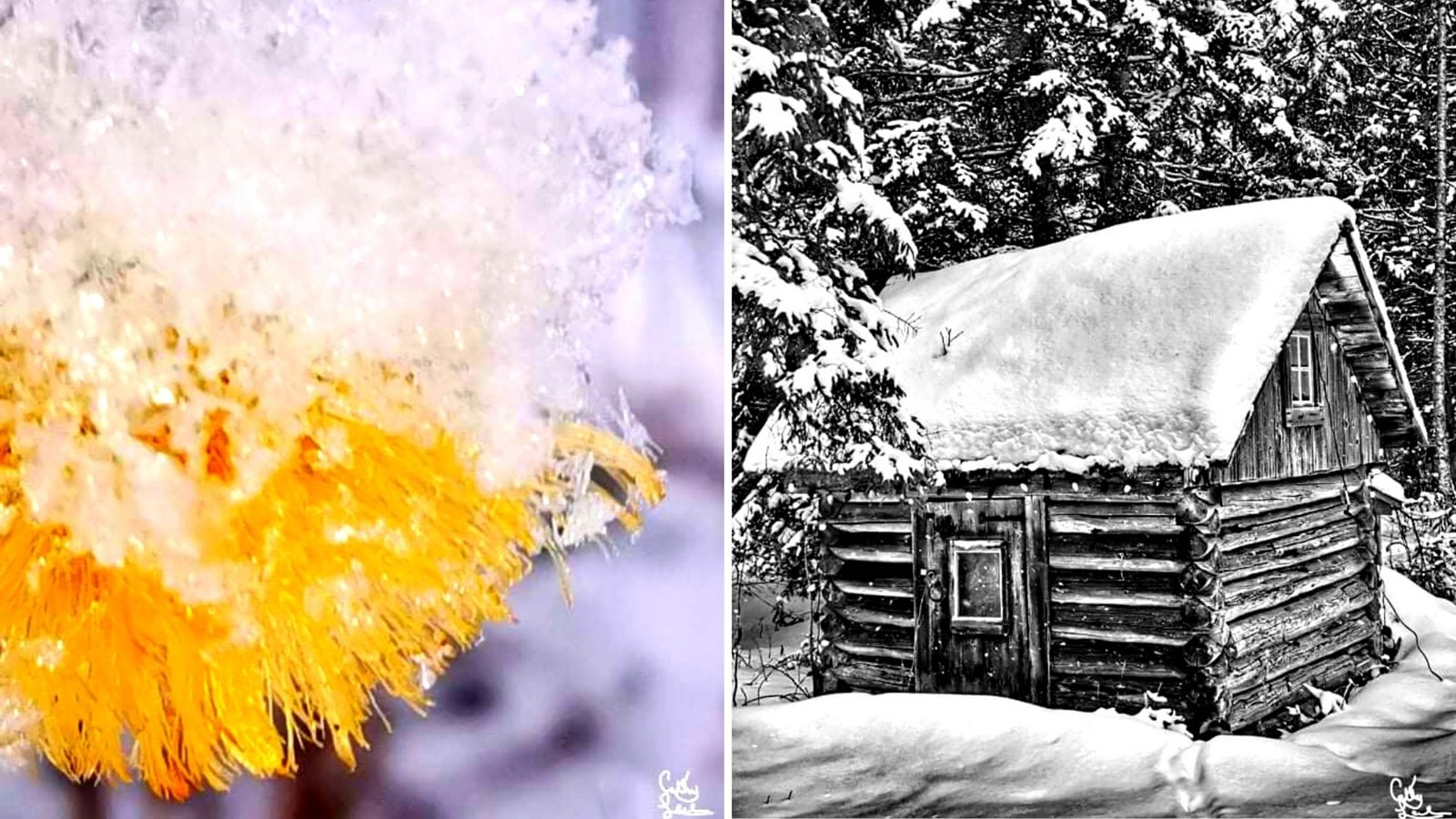 Galerie 7 : l'hiver beauceron