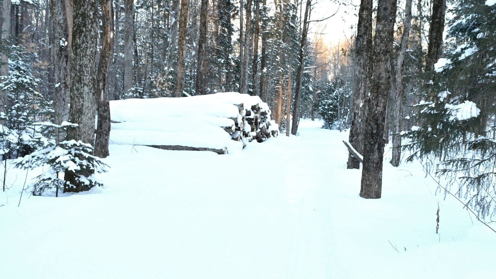 Galerie 7 : l'hiver beauceron