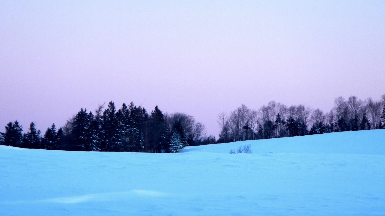 Galerie 8 : l'hiver beauceron