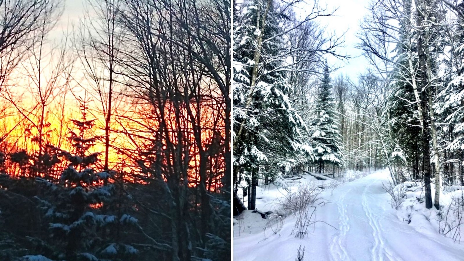 Galerie 8 : l'hiver beauceron