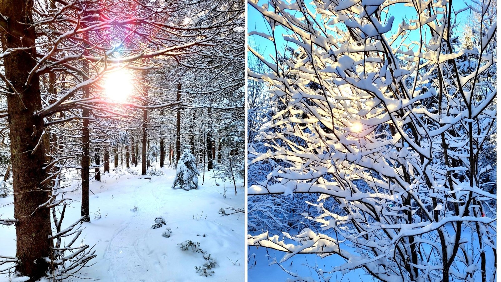 Galerie 8 : l'hiver beauceron