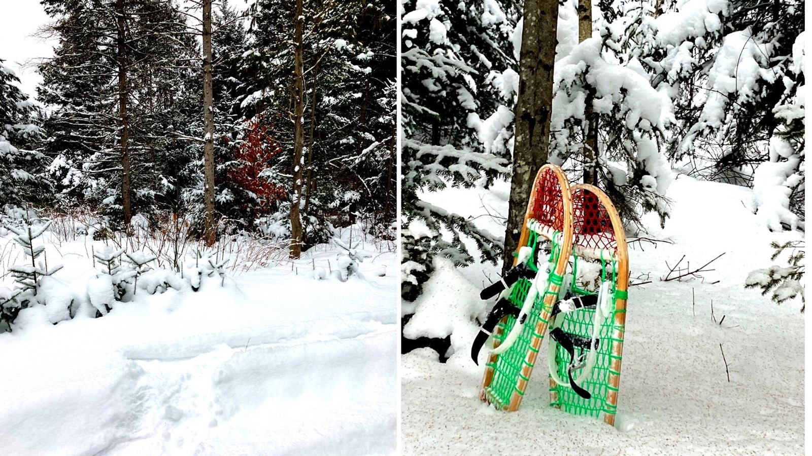 Galerie 8 : l'hiver beauceron