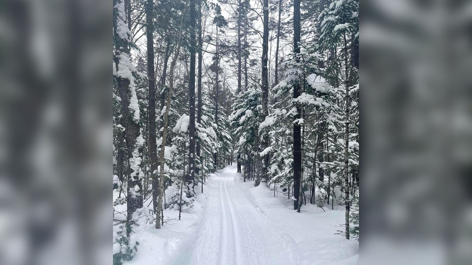Galerie 9 : l'hiver beauceron
