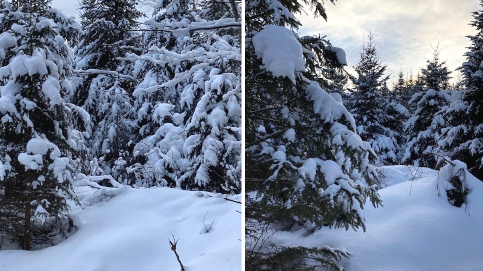 Beauceville le 14 janvier