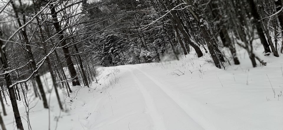 Galerie 9 : l'hiver beauceron