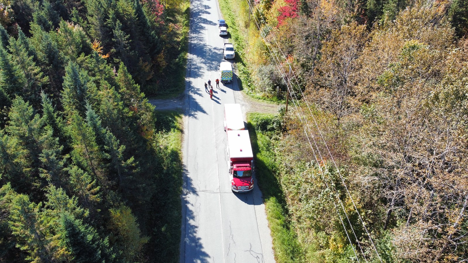 Un homme légèrement blessé après avoir reçu un arbre sur la tête