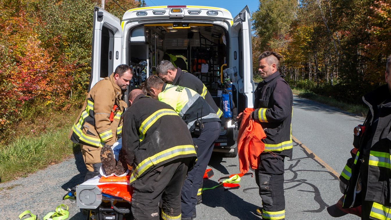 Un homme légèrement blessé après avoir reçu un arbre sur la tête