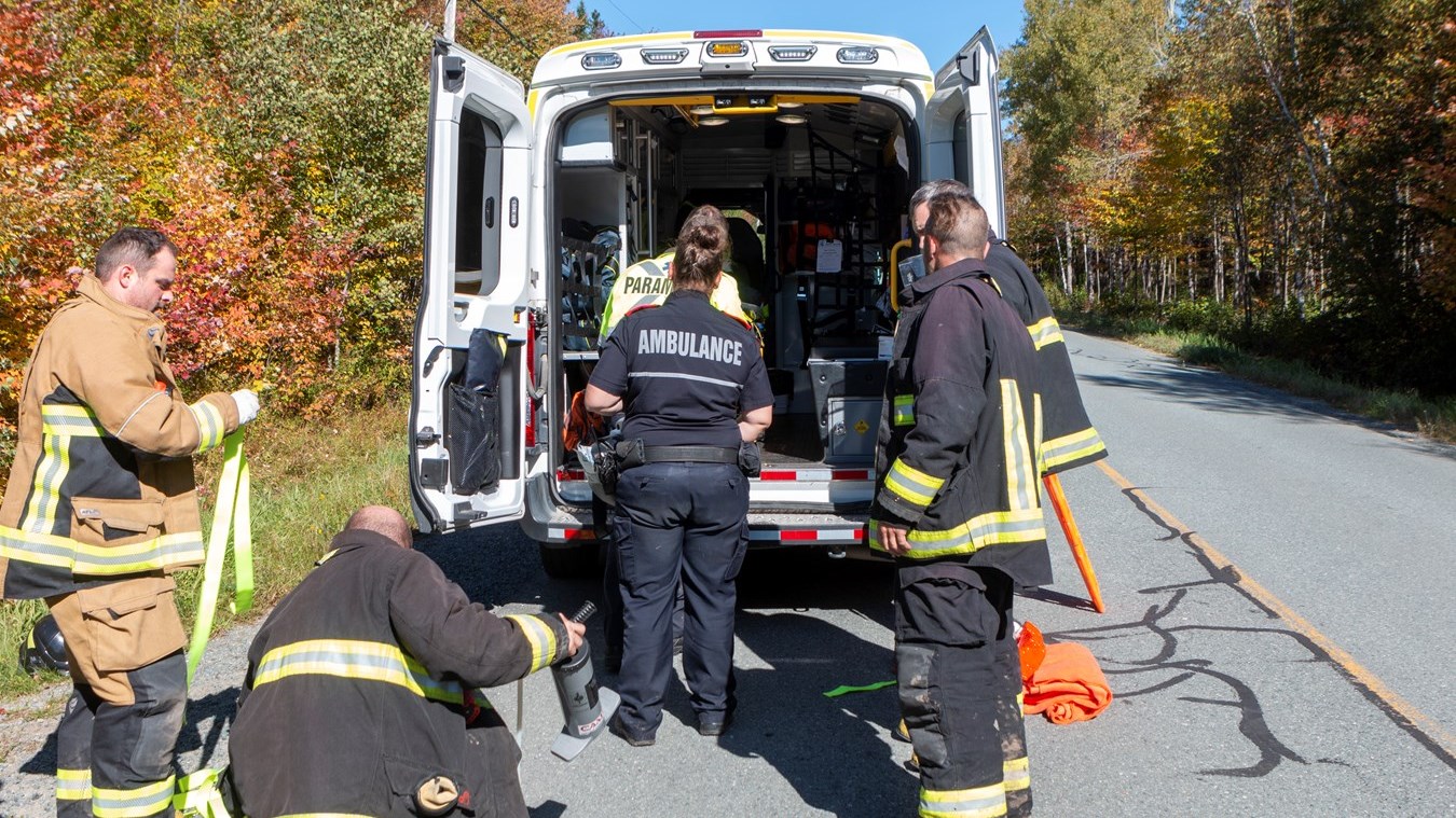 Un homme légèrement blessé après avoir reçu un arbre sur la tête