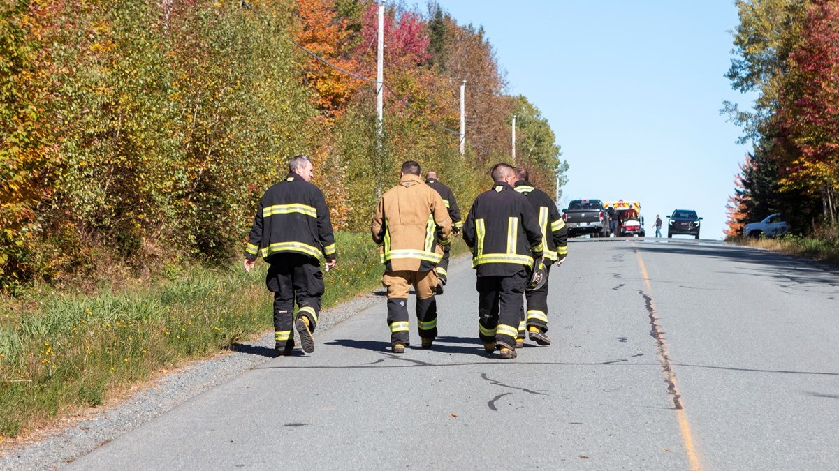 Un homme légèrement blessé après avoir reçu un arbre sur la tête