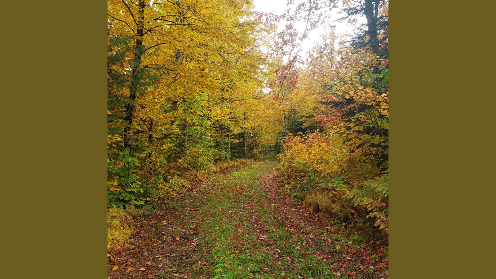 Saint-Joseph-de-Beauce
