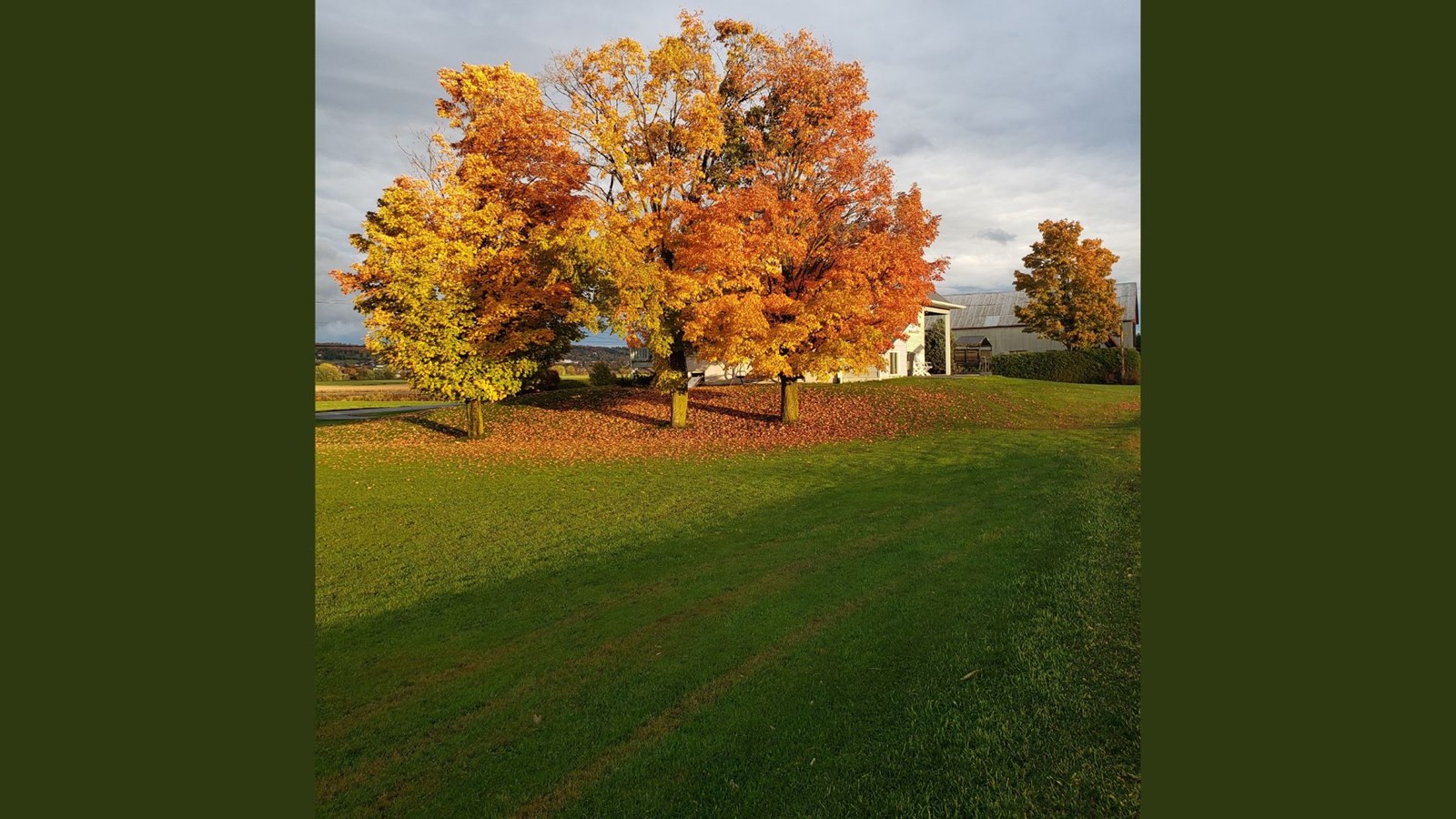 Saint-Joseph-de-Beauce