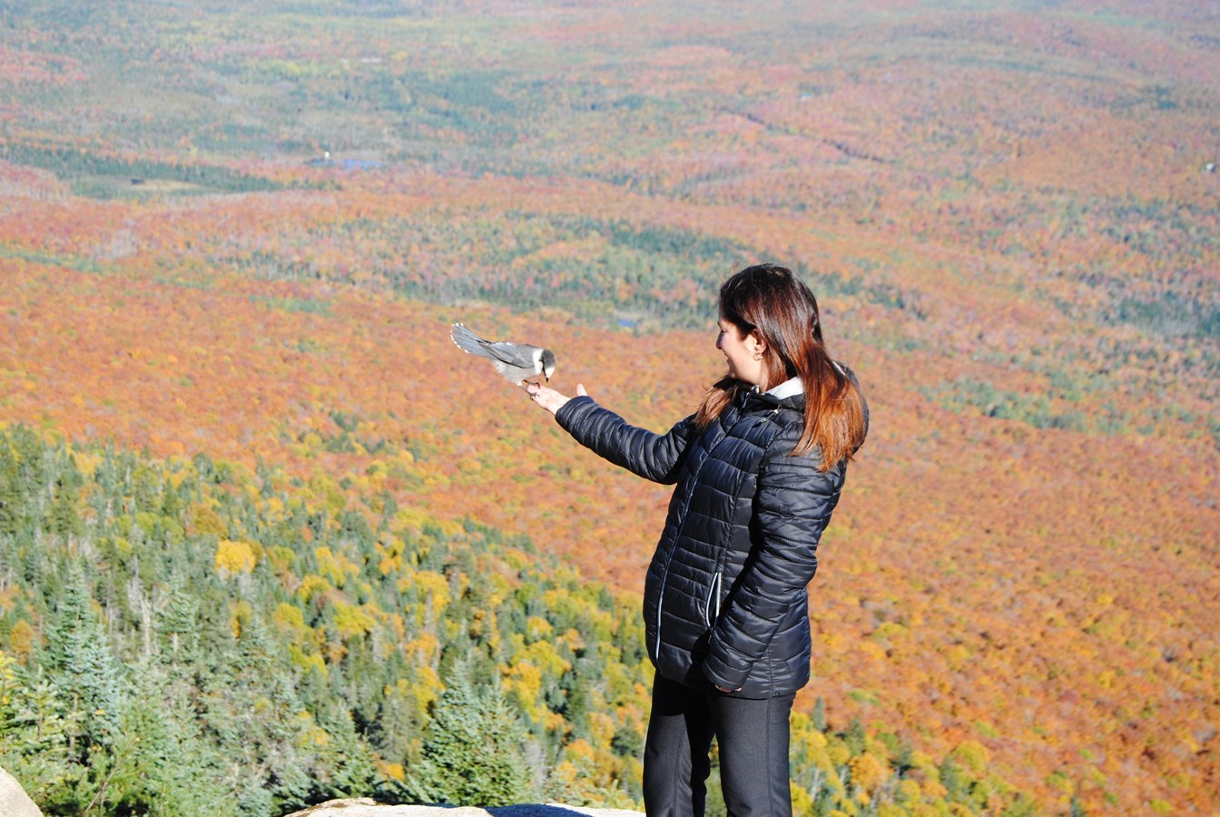 Mont Saint-Joseph