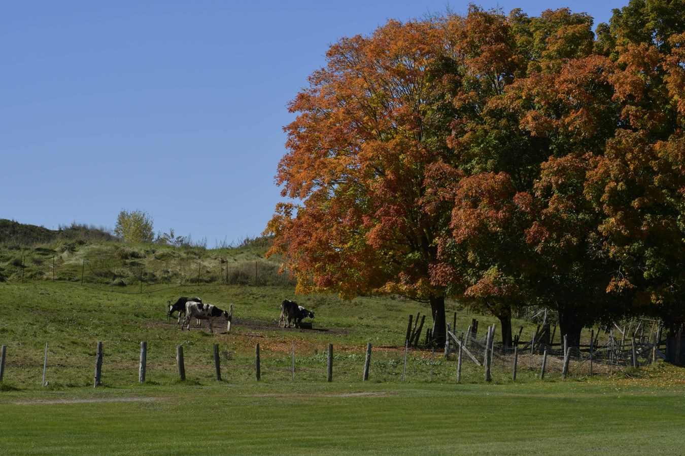 Dernière galerie: la Beauce en couleurs