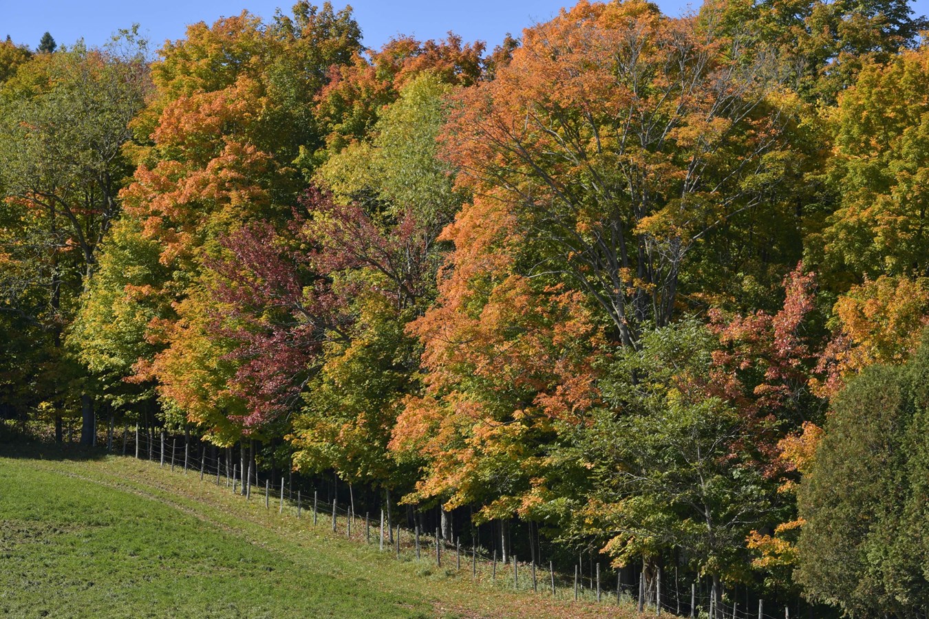 Dernière galerie: la Beauce en couleurs