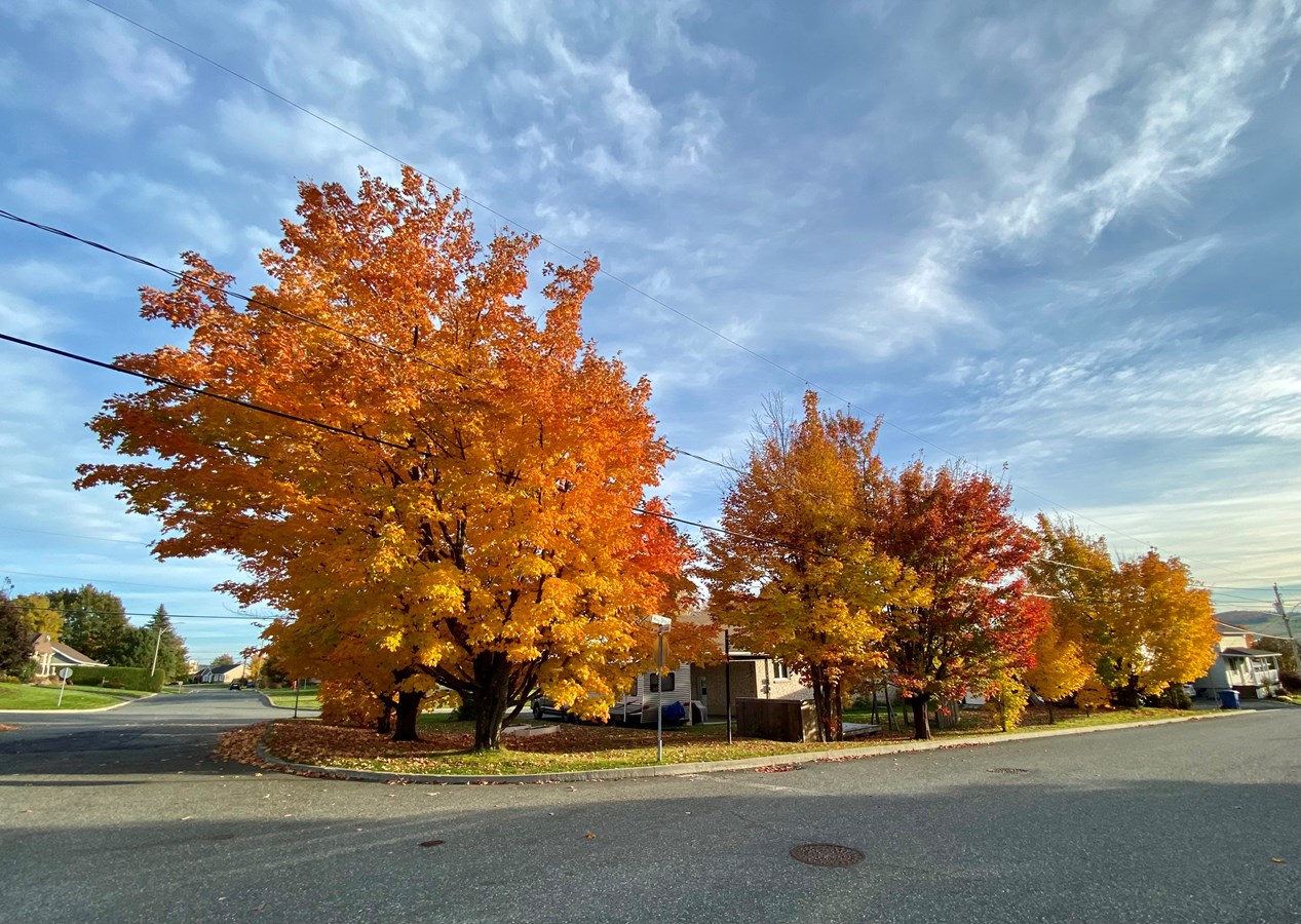 Saint-Joseph-de-Beauce