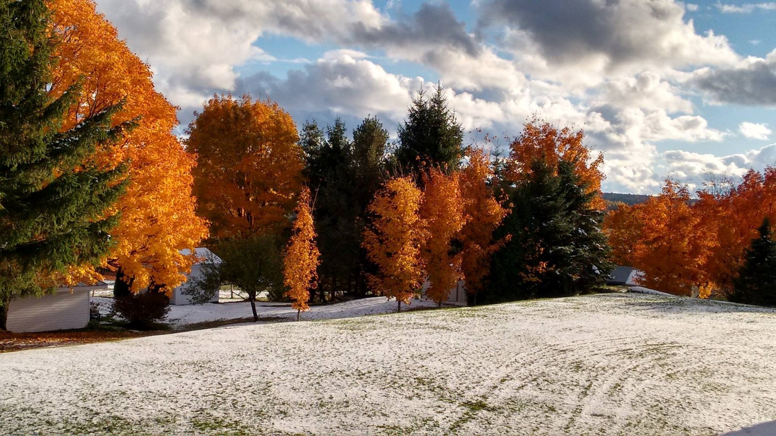 Dernière galerie: la Beauce en couleurs