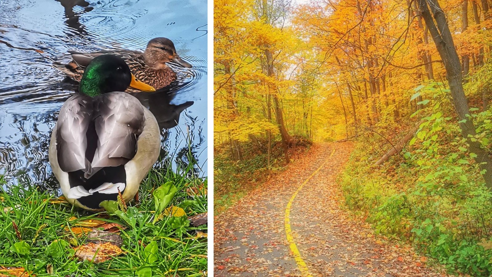La route vers le paradis.
Québec, 12 octobre 2022.