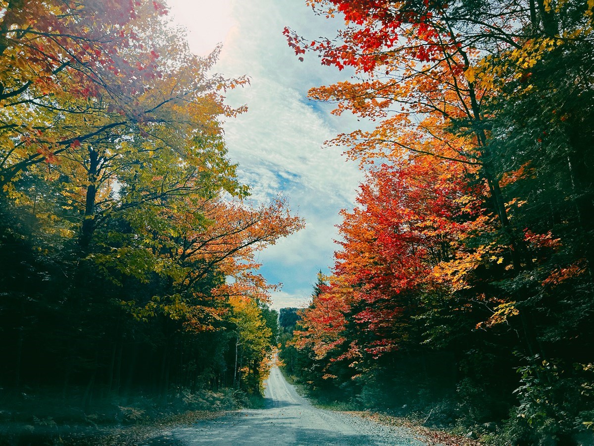 Dernière galerie: la Beauce en couleurs