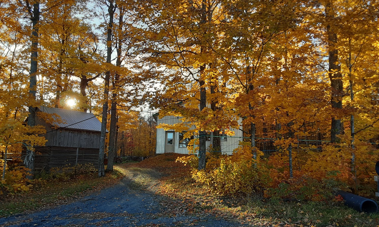 Dernière galerie: la Beauce en couleurs