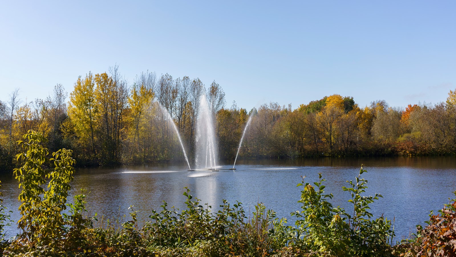 Dernière galerie: la Beauce en couleurs