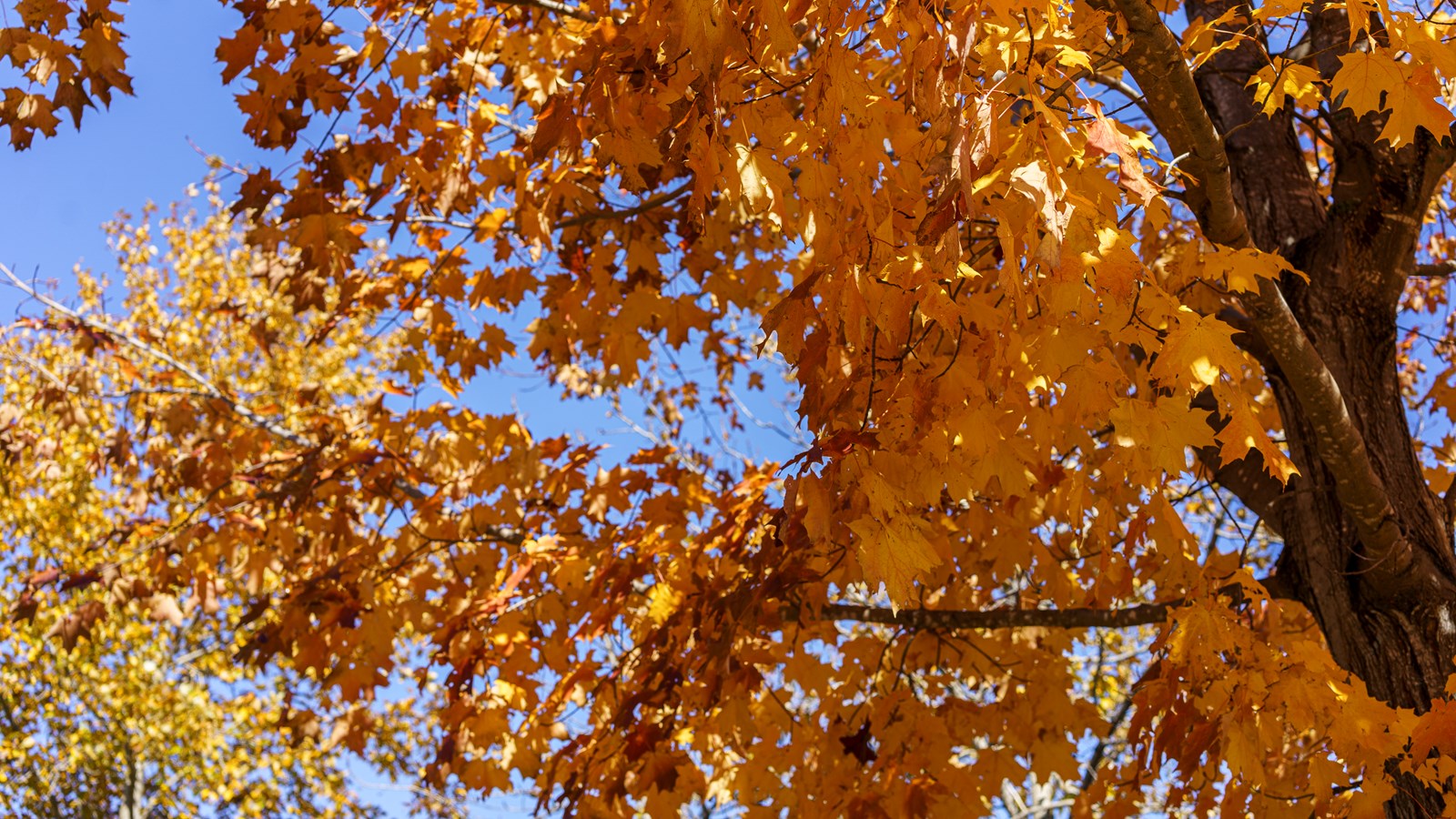 Dernière galerie: la Beauce en couleurs